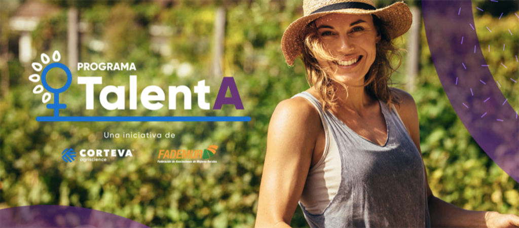 talenta second edition promo